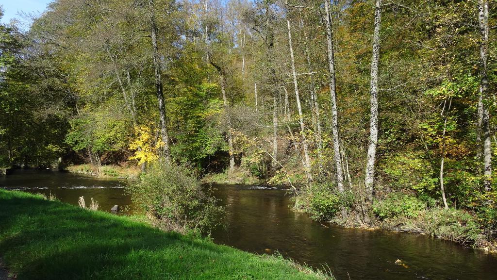 Les Terriers Saint-Hubert Villa Hatrival Rom bilde